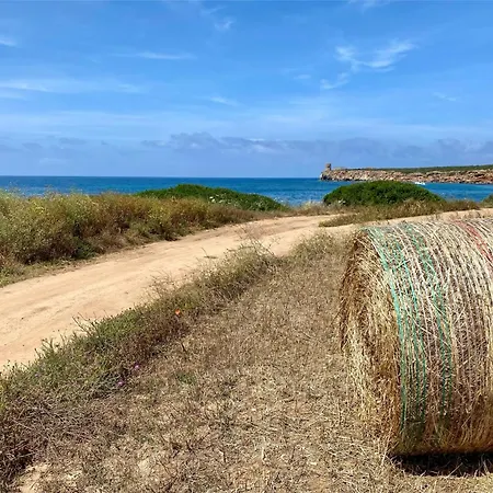 Il Mosaico *